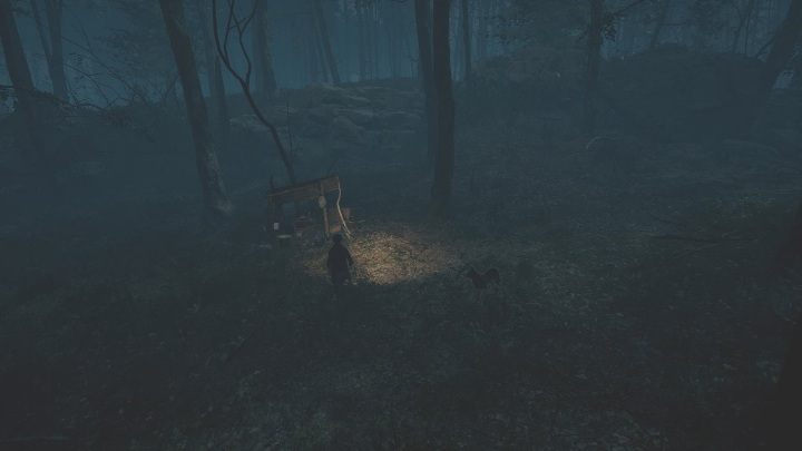 2 - The Medium: Park krajobrazowy - solucja, opis przejścia - The Medium - poradnik do gry