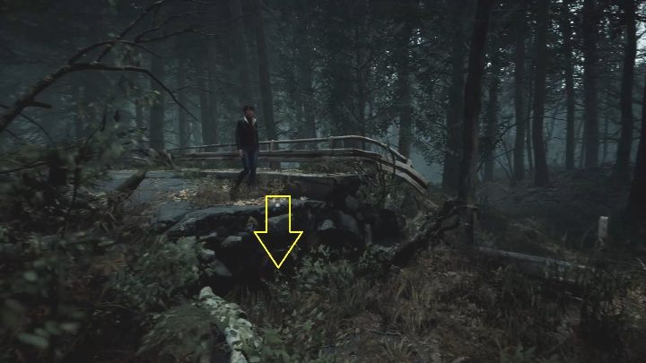 Przejście przez las jest proste i liniowe - The Medium: Podróż do hotelu - solucja, opis przejścia - The Medium - poradnik do gry