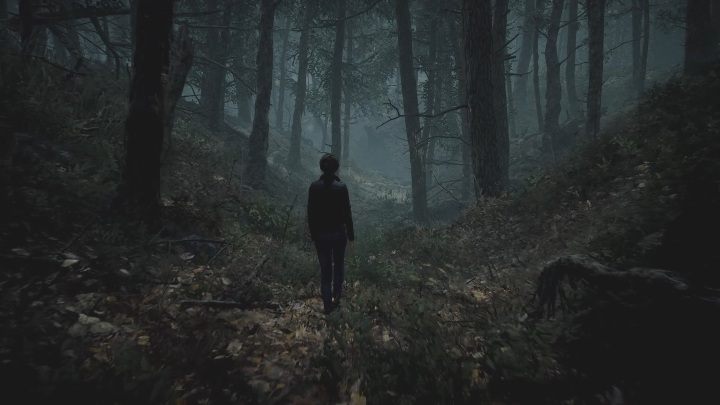 2 - The Medium: Podróż do hotelu - solucja, opis przejścia - The Medium - poradnik do gry