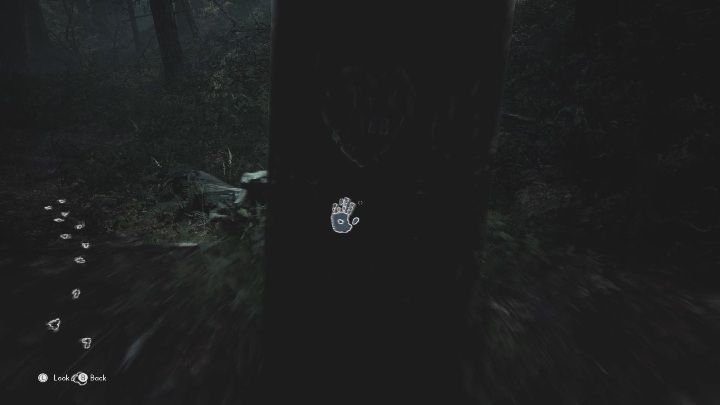 Oprócz śladów na ziemi możesz dostrzec nieliczne na drzewach - The Medium: Podróż do hotelu - solucja, opis przejścia - The Medium - poradnik do gry