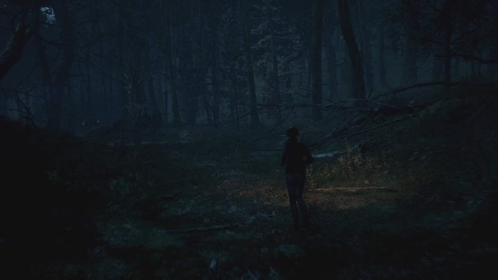 Po wyjściu z ruin dotrzesz do lasu - The Medium: Warsztat - solucja, opis przejścia - The Medium - poradnik do gry