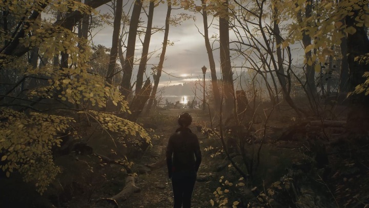 Ostatecznie trafisz do lasu - The Medium: Mieszkanie Thomasa - solucja, opis przejścia - The Medium - poradnik do gry