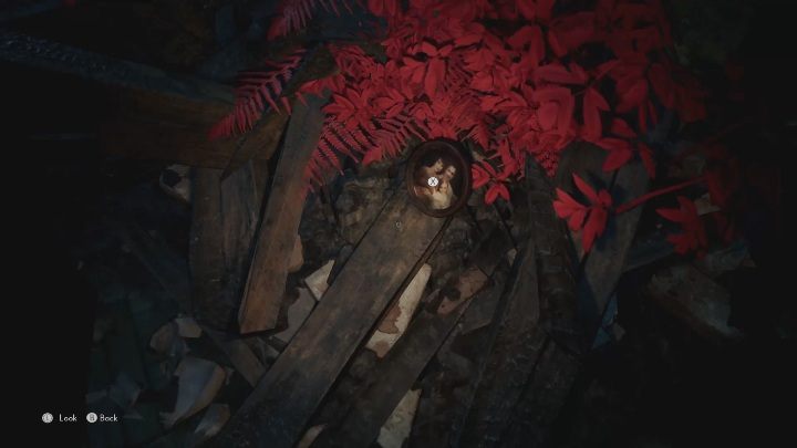 Fotografia z kobietą w ciąży znajdzie się na deskach, na prawo od domu dla lalek - The Medium: Dom Thomasa - solucja, opis przejścia - The Medium - poradnik do gry