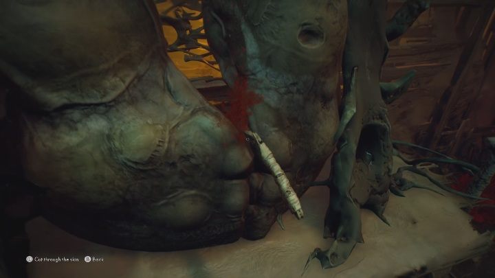 Aby zdobyć maskę cudu musisz zdobyć cztery motyle - The Medium: Dom Thomasa - solucja, opis przejścia - The Medium - poradnik do gry