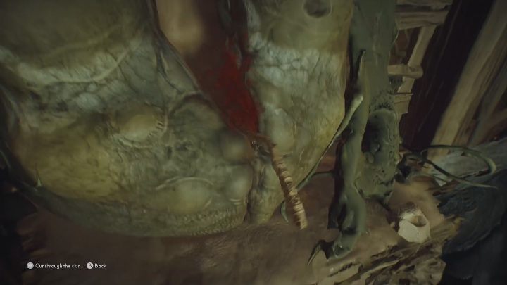 Zaraz obok figurki rybki znajdziesz kolejną skórę do rozcięcia - The Medium: Dom Thomasa - solucja, opis przejścia - The Medium - poradnik do gry