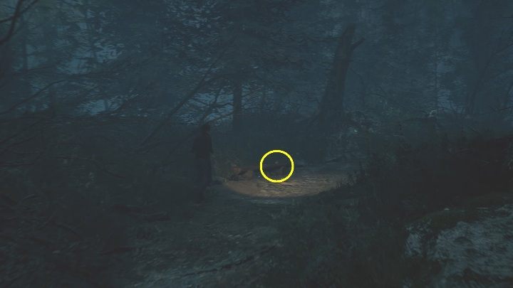 Lokalizacja: Tę pocztówkę w lesie, za hotelem Niwa - The Medium: Pocztówki - lista wszystkich - The Medium - poradnik do gry