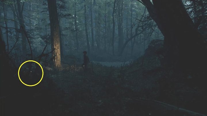 Lokalizacja: Tę pocztówkę w lesie, za hotelem Niwa - The Medium: Pocztówki - lista wszystkich - The Medium - poradnik do gry