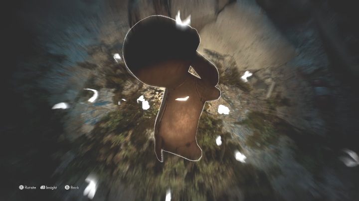 To echo znajduje się na zabawce, na dnie wysuszonego basenu - The Medium: Echa - lista wszystkich - The Medium - poradnik do gry