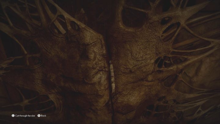 Wróć do swojej normalnej formy i zbliż się do ściany zakrytej skórą - The Medium: Spotkanie ze Smutką/Sadness - solucja, opis przejścia - The Medium - poradnik do gry
