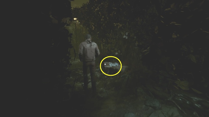 28 - The Medium: Dom Richarda - solucja, opis przejścia - The Medium - poradnik do gry