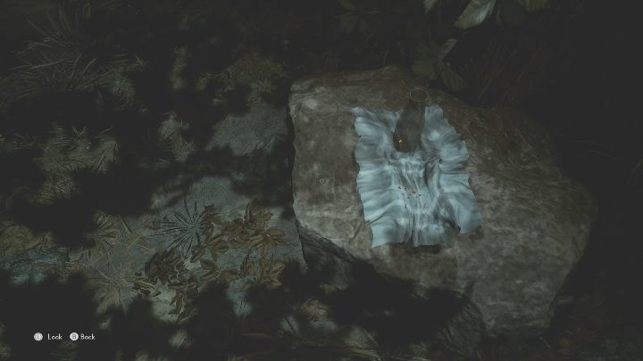 Pustą butelkę po mleku oraz okruszki znajdziesz na skale, w prawej części labiryntu - The Medium: Dom Richarda - solucja, opis przejścia - The Medium - poradnik do gry