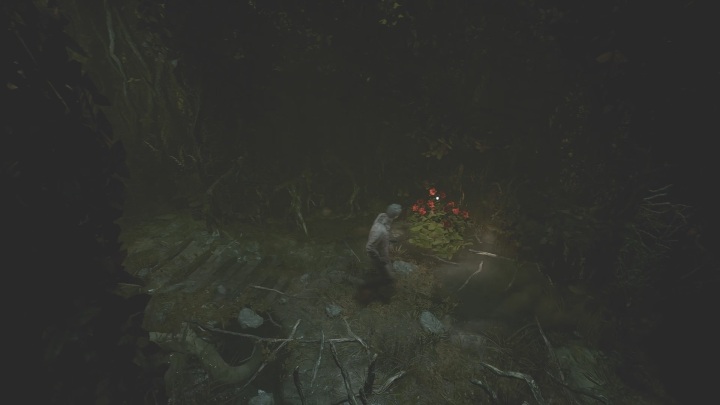 30 - The Medium: Dom Richarda - solucja, opis przejścia - The Medium - poradnik do gry