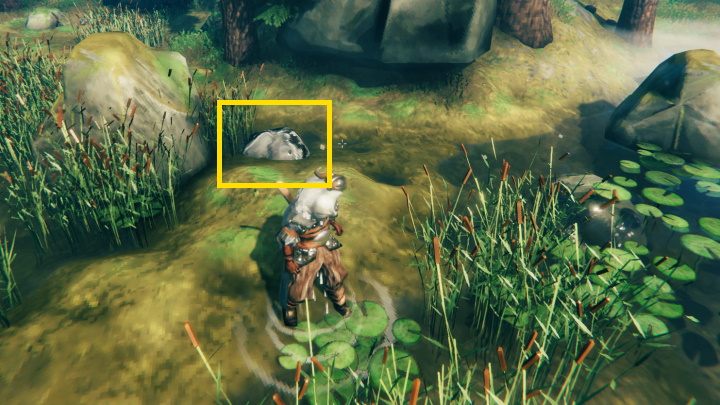 Jego złoża znajdziesz na terenie Czarnego Lasu - Valheim: Cyna - gdzie znaleźć? - Valheim - poradnik do gry