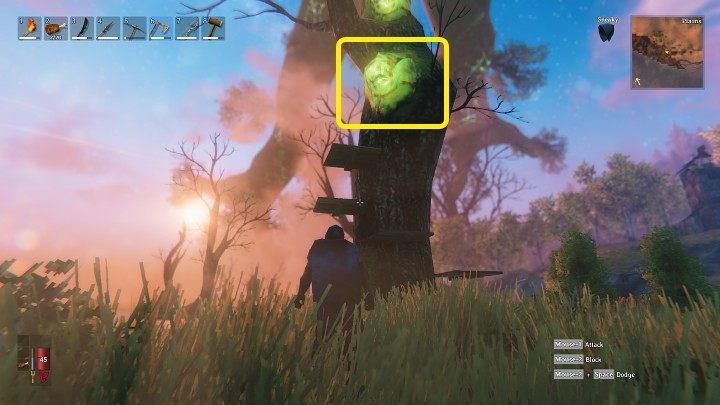 Worki z mazią (Guck sack) mogą wyrastać na wyższych partiach drzew, przez co dostęp do nich może być utrudniony - Valheim: Maź/Guck - jak zdobyć? - Valheim - poradnik do gry