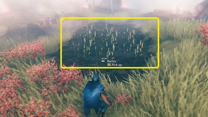 Jęczmień można zdobyć w wioskach Fulingów, które można znaleźć na równinach (Plains biome) - Valheim: Jęczmień/Barley - jak zdobyć? - Valheim - poradnik do gry
