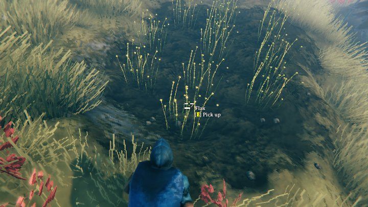 Len można zdobyć w wioskach Fulingów, które można znaleźć na równinach (Plains biome) - Valheim: Len/Flax - jak zdobyć? - Valheim - poradnik do gry