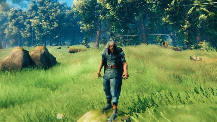 Zbroja trolla (Troll Armor) to trzeci pod względem jakości zestaw, który można stworzyć po podniesieniu stołu rzemieślniczego (Workbench) na poziom 3 - Valheim: Wszystkie zbroje - lista, statystyki - Valheim - poradnik do gry