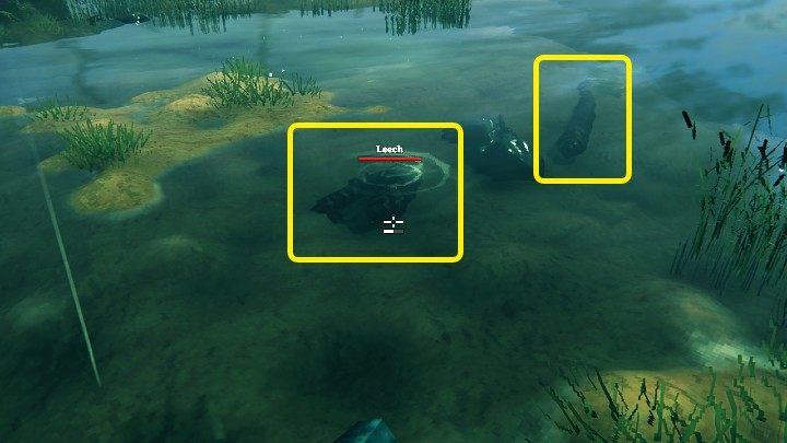 Worki z krwią (Bloodbag) zdobywa się po pokonaniu pijawek (Leech) - przeciwników, których można spotkać na bagnach (Swamps biome) - Valheim: Worek z krwią/Bloodbag - jak zdobyć? - Valheim - poradnik do gry