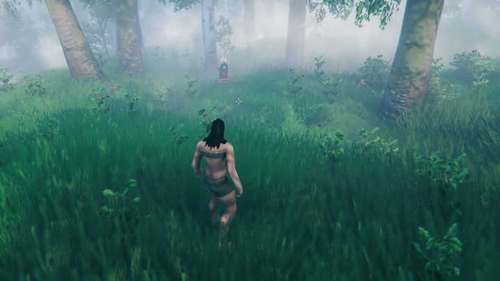 UWAGA, BUG: Może się zdarzyć, że po Twojej śmierci wystąpi bug powodujący, że nagrobek się nie pojawi - Valheim: Śmierć - jak odzyskać przedmioty? - Valheim - poradnik do gry