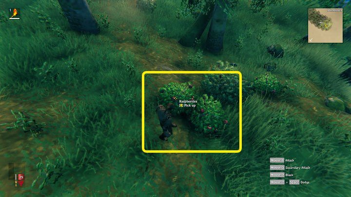 Jedną z podstawowych czynności, które należy wykonać po rozpoczęciu rozgrywki w Valheim jest zdobycie pożywienia - Valheim: Dzień 1 - jak przetrwać na początku? Od czego zacząć? - Valheim - poradnik do gry