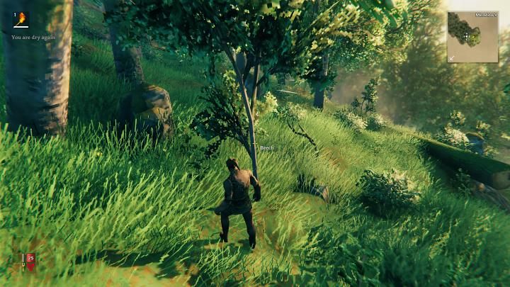 Nie jest to jednak jedyna możliwość zdobywania drewna na początku rozgrywki - Valheim: Dzień 1 - jak przetrwać na początku? Od czego zacząć? - Valheim - poradnik do gry