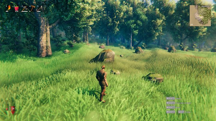 Najlepszym miejscem na wybudowanie pierwszego schronienia będzie łąka (Meadows Biome), ponieważ jest to najbezpieczniejszy i najbardziej gościnny biom w grze Valheim - Valheim: Dzień 1 - jak przetrwać na początku? Od czego zacząć? - Valheim - poradnik do gry