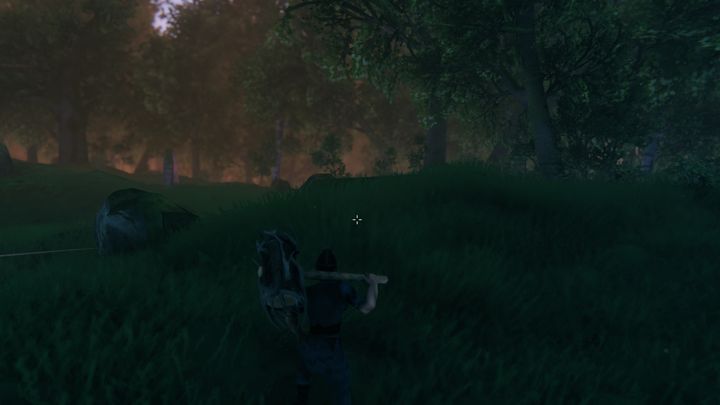 Dodatkowo w tej okolicy znajdziesz także kamienie, krzemienie, grzybów, maliny oraz mniszka lekarskiego - Valheim: Łąki/Meadows - surowce, przeciwnicy - Valheim - poradnik do gry