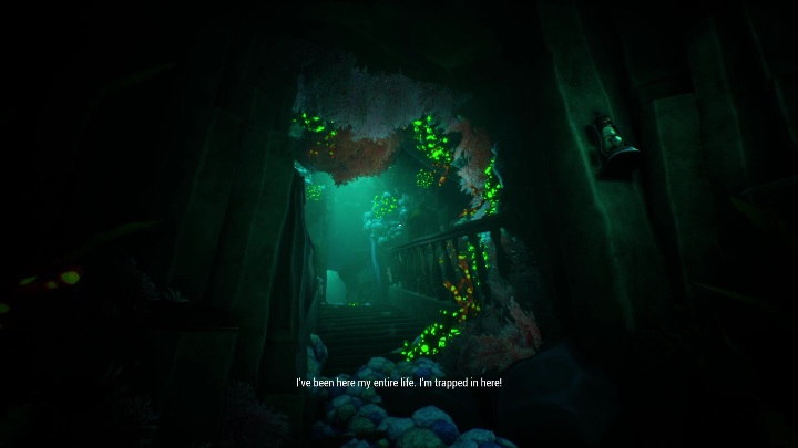 Waszym zadaniem jest stałe podążanie do przodu, aż do końca jaskini - Call of the Sea: Prolog, Rodzinna pamiątka - solucja, opis przejścia - Call of the Sea - poradnik do gry