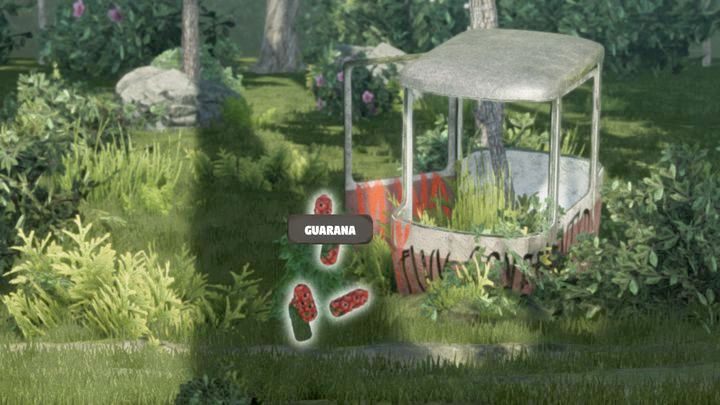 Owoce odrastają na krzewach po czasie - Mr Prepper: Zadania Jenny - lista, solucja, opis przejścia - Mr Prepper - poradnik do gry