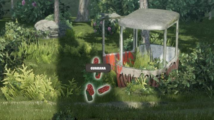 Zmęczenie zregenerujesz na trzy sposoby: zjadając suszone owoce guarany (wysuszysz je w Suszarce, którą odblokujesz na 2 poziomie Warsztatu), lub pijąc napój z guarany (ten zaś utworzysz na kuchence z suszonych owoców guarany) - Mr Prepper: Zdrowie, zmęczenie, przygotowanie - Mr Prepper - poradnik do gry