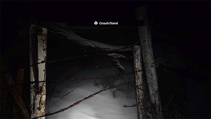 Po ukończeniu prologu Ethan obudzi się w ciemnym lesie - Resident Evil Village: Las/Some Forest - solucja, opis przejścia - Resident Evil Village - poradnik do gry