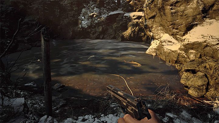 2 - Resident Evil Village: Składnik Finest Fish - jak zdobyć? - Resident Evil Village - poradnik do gry