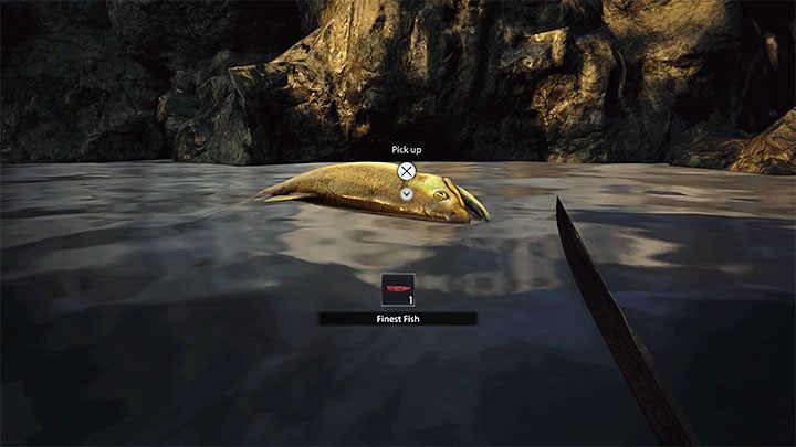 Musicie zabić złotą rybę - możecie do tego celu użyć np - Resident Evil Village: Składnik Finest Fish - jak zdobyć? - Resident Evil Village - poradnik do gry