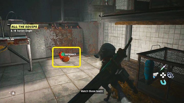 Wejdźcie do oznaczonego pomieszczenia i spróbujcie złapać biegające tam skwipy - Biomutant: Gizmo - solucja, opis przejścia - Biomutant - poradnik do gry