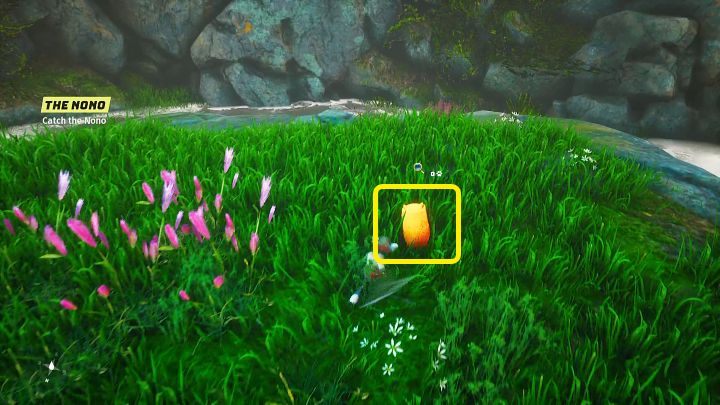 Po krótkiej rozmowie dostaniecie od przyjaciela siatkę na kiju (Hoop Net) i będziecie musieli złapać wypłoszonego wcześniej Nono - Biomutant: Inny świat/Another World - solucja, opis przejścia - Biomutant - poradnik do gry