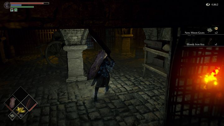 Leczenie postaci jest bardzo prostym zabiegiem - Demons Souls Remake: Zdrowie - jak odnowić? - Demons Souls Remake - poradnik do gry