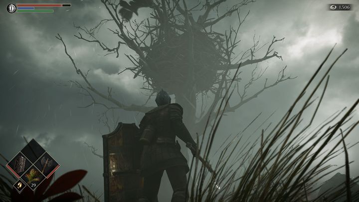 Po chwili zobaczycie wielkie drzewo z gniazdem - Demons Souls Remake: Obrzeża wyspy (4-1) - solucja, opis przejścia - Demons Souls Remake - poradnik do gry