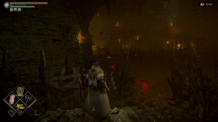 Gdy spadniecie, główna ścieżka prowadzić będzie w stronę kilku owadów - Demons Souls Remake: Bagno smutku (5-2) - solucja, opis przejścia - Demons Souls Remake - poradnik do gry