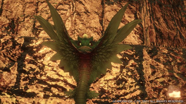 Kwazelkobra pojawia się jedynie w dzień na terenie Zatopionego Lasu - Monster Hunter Rise: Kwazelkobra - jak znaleźć? - Monster Hunter Rise - poradnik do gry