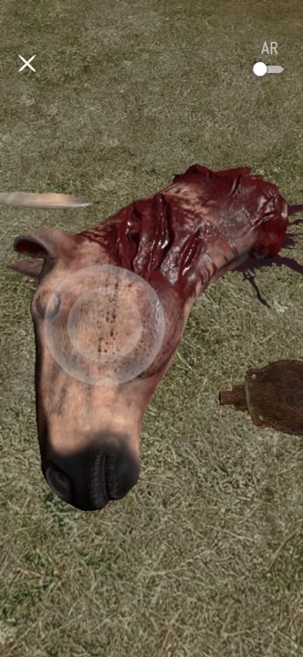 W oznaczonym punkcie na mapie zobaczycie głowę konia - Wiedźmin Pogromca potworów: Skrzydlaty złodziej - solucja, opis przejścia - Wiedźmin Pogromca potworów - poradnik do gry