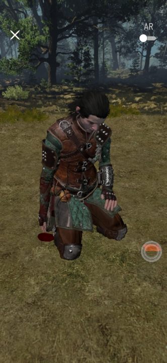 Od znachora dowiecie się, że wiedźmin próbował wejść między silnie trujące rośliny, bez odpowiedniego eliksiru - Wiedźmin Pogromca potworów: Słona cena pychy - solucja, opis przejścia - Wiedźmin Pogromca potworów - poradnik do gry