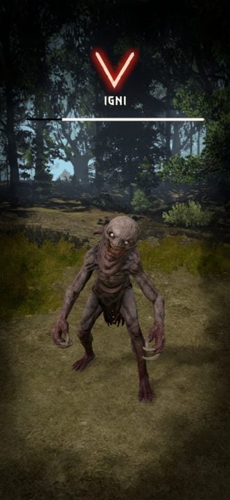 Znak wiedźmiński ma określony czas regeneracji - Wiedźmin Pogromca potworów: Walka - interfejs - Wiedźmin Pogromca potworów - poradnik do gry