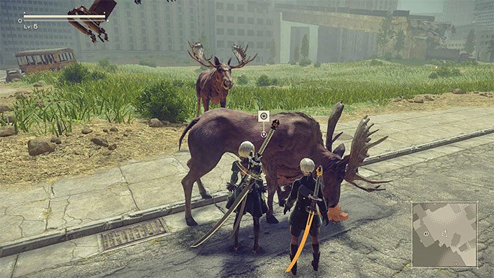 Zaczekajcie na pojawienie się dzikiego zwierzęcia - NieR Automata: Zwierzęta - jak oswoić? - NieR Automata - poradnik do gry