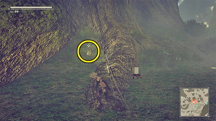 Wskazany przez Pascal obszar znajduje się w lesie (Forest Zone) i w tym przypadku możecie sobie pomóc szybką podróżą - NieR Automata: 14 Rozdział, A2 - Route C,D - solucja, opis przejścia - NieR Automata - poradnik do gry