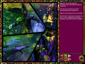 Autharyt domyślił się, co zaszło - Solucja cz.4 | Salammbo - Salammbo - poradnik do gry