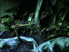 2 - Solucja cz.10 | Salammbo - Salammbo - poradnik do gry