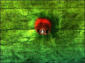 7 - Solucja cz.15 | Salammbo - Salammbo - poradnik do gry