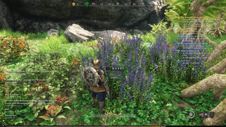 Do wykonania najsłabszego (ale świetnego dla początkujących graczy) eliksiru leczące potrzebujecie tylko dwóch składników - wody oraz Hyzopu (Hyssop) lub Kolby pałki wodnej (Bulrush cob) - New World: Eliksiry leczące - jak zrobić? - New World - poradnik do gry