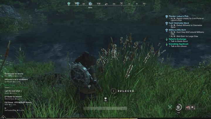 Z kolei Pałkę wodną znajdziecie w okolicach jezior i rzek - New World: Eliksiry leczące - jak zrobić? - New World - poradnik do gry