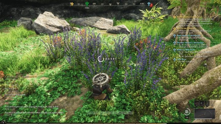 Pozyskiwanie surowców do craftingu również wiąże się ze zdobywaniem doświadczenia - New World: Doświadczenie - jak szybko zdobywać? - New World - poradnik do gry